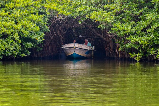 Madu oya River safari