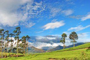 Bogawantalawa, Sri Lanka