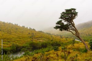 Horton Plains, Sri Lanka